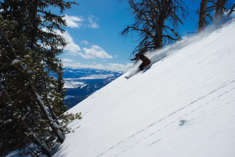 Why Should You Visit California in Winter?