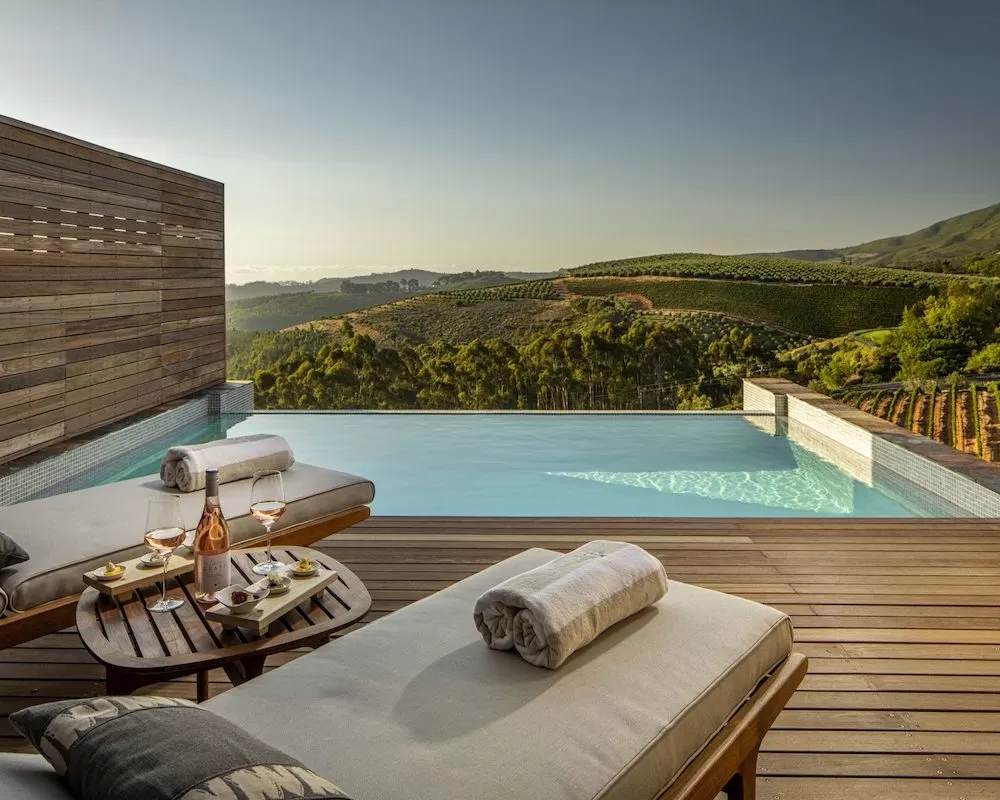 Cape Town's 7 Best Vineyards