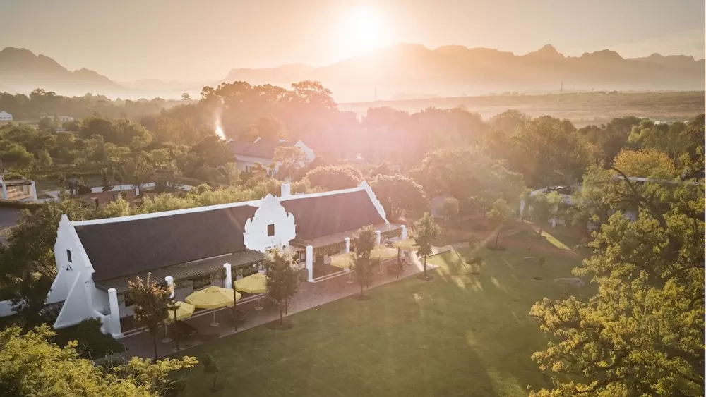 Cape Town's 7 Best Vineyards