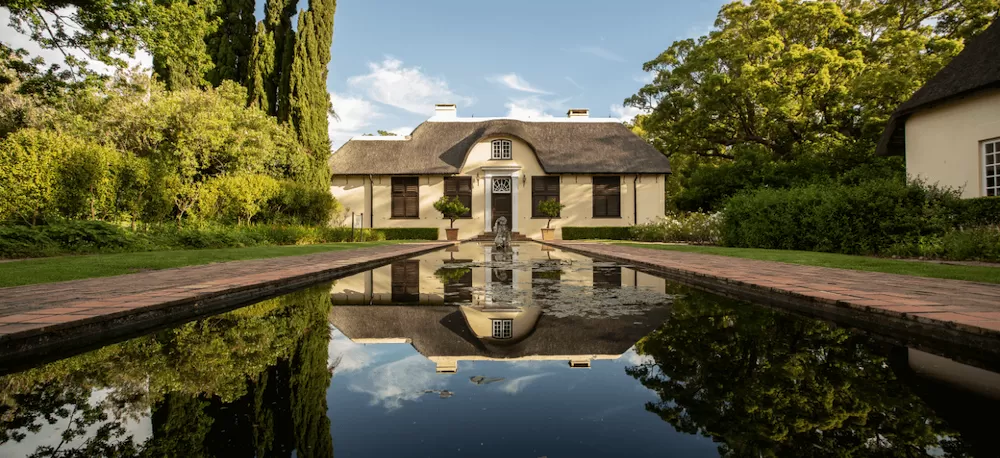 Cape Town's 7 Best Vineyards