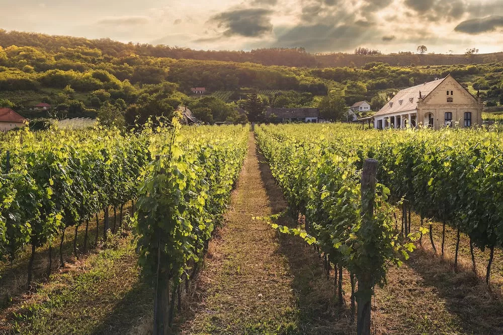 The Best Places to Spend Winter in South Africa