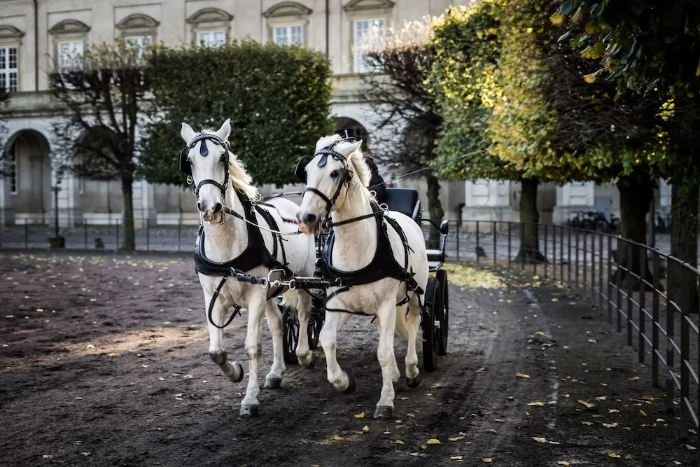 Why Should You Spend Valentine's Day in Prague?