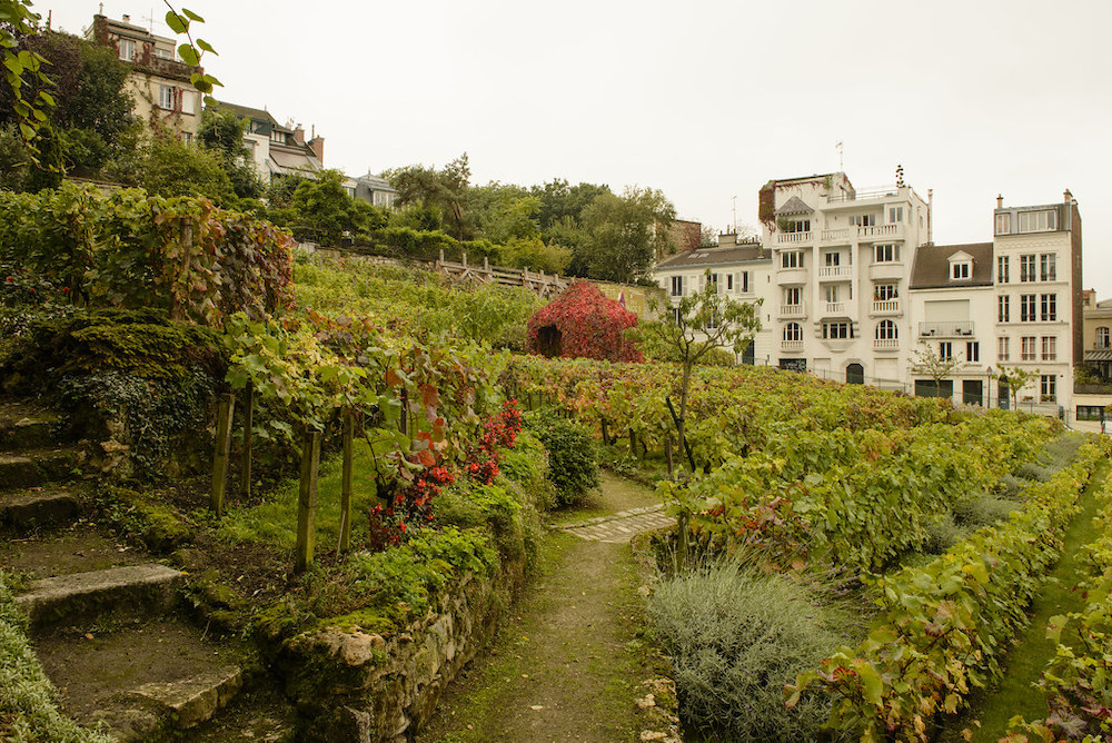 Check Out These Underrated Romantic Spots in Paris