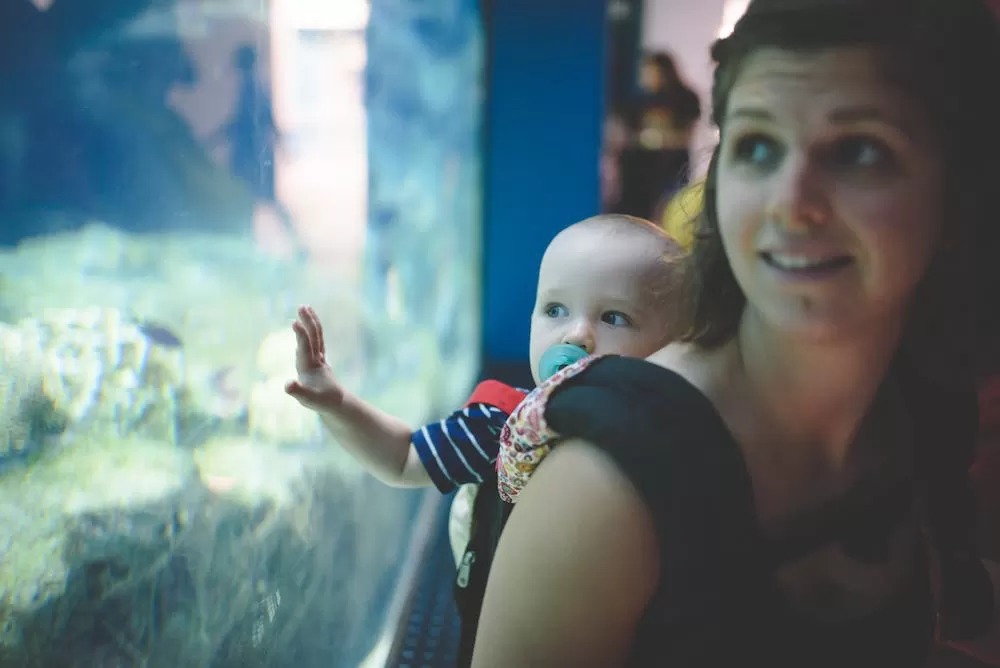 Check Out These Great Spots for Families in London