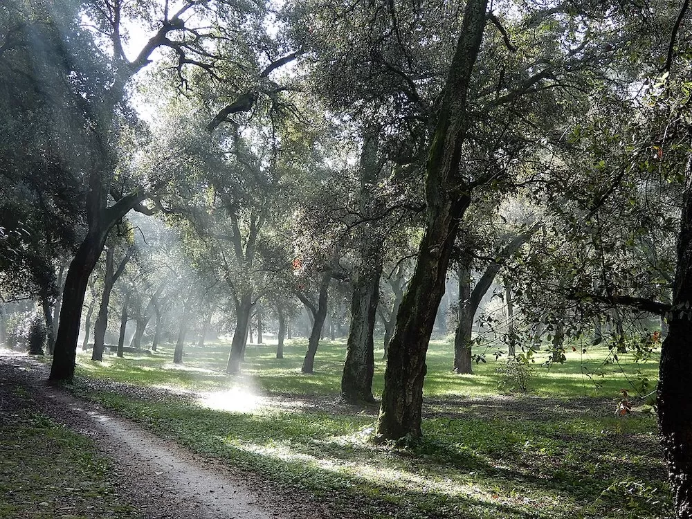 Where to Have a Picnic in Rome