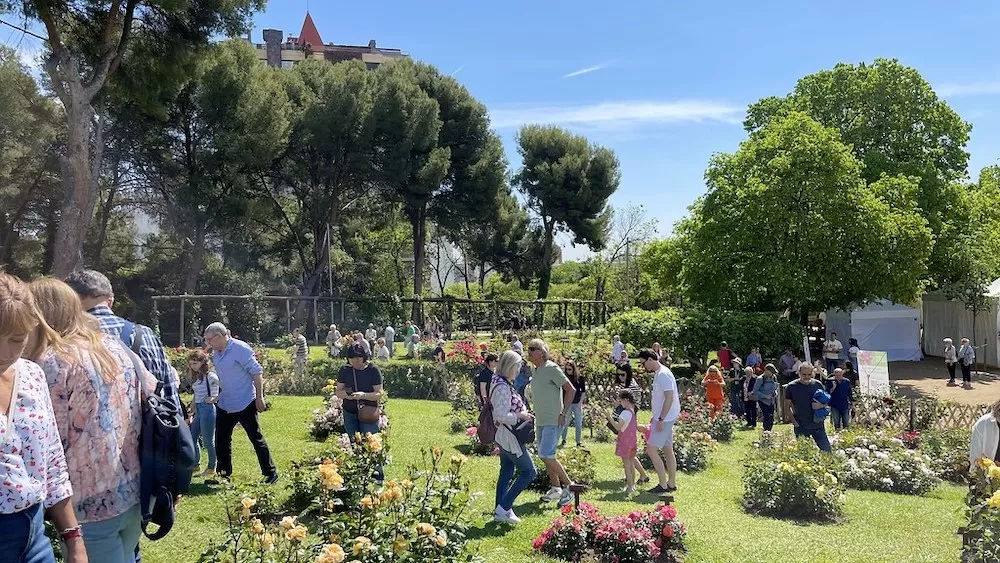 The Best Spots for a Picnic in Barcelona