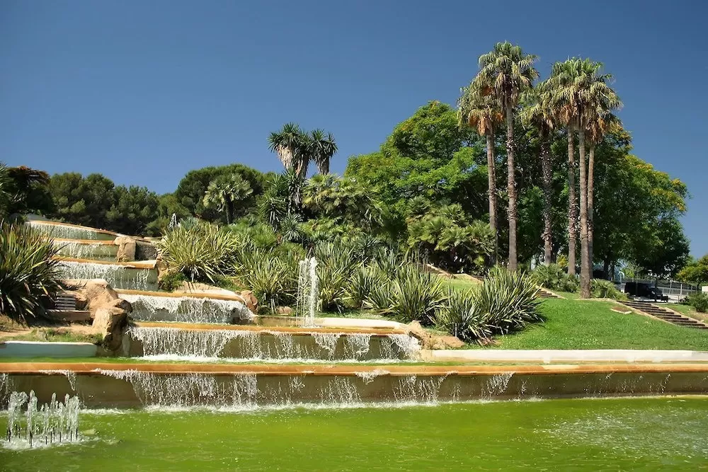 The Best Spots for a Picnic in Barcelona