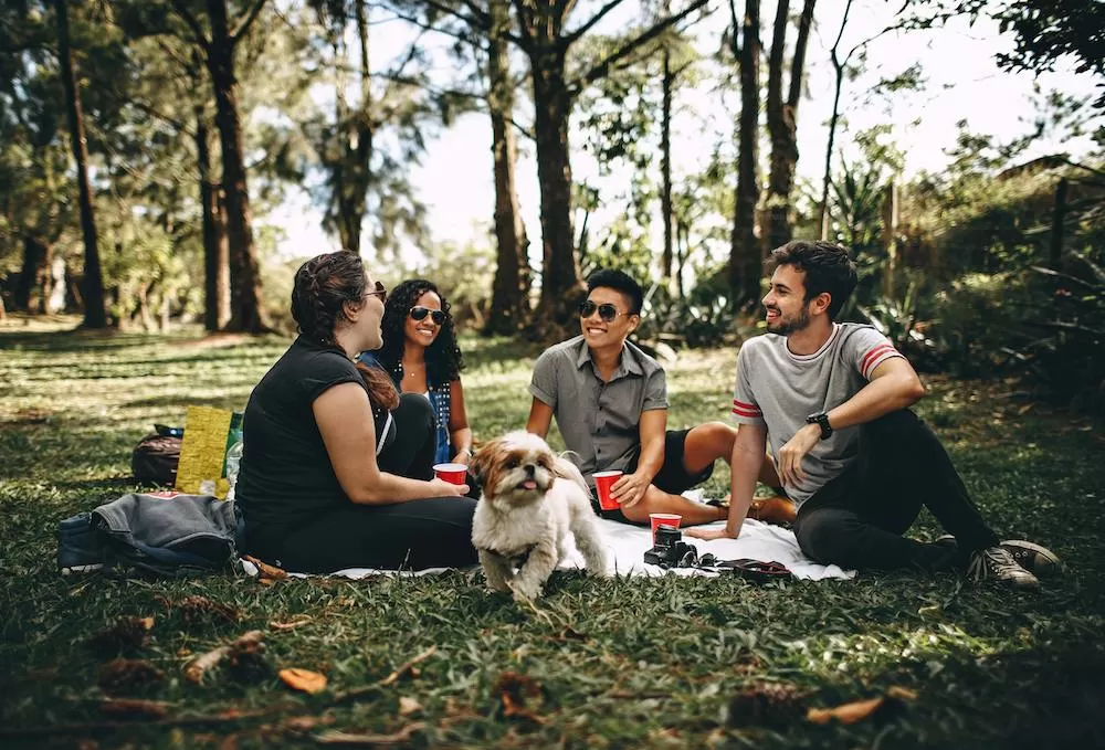 The Best Spots for a Picnic in Barcelona