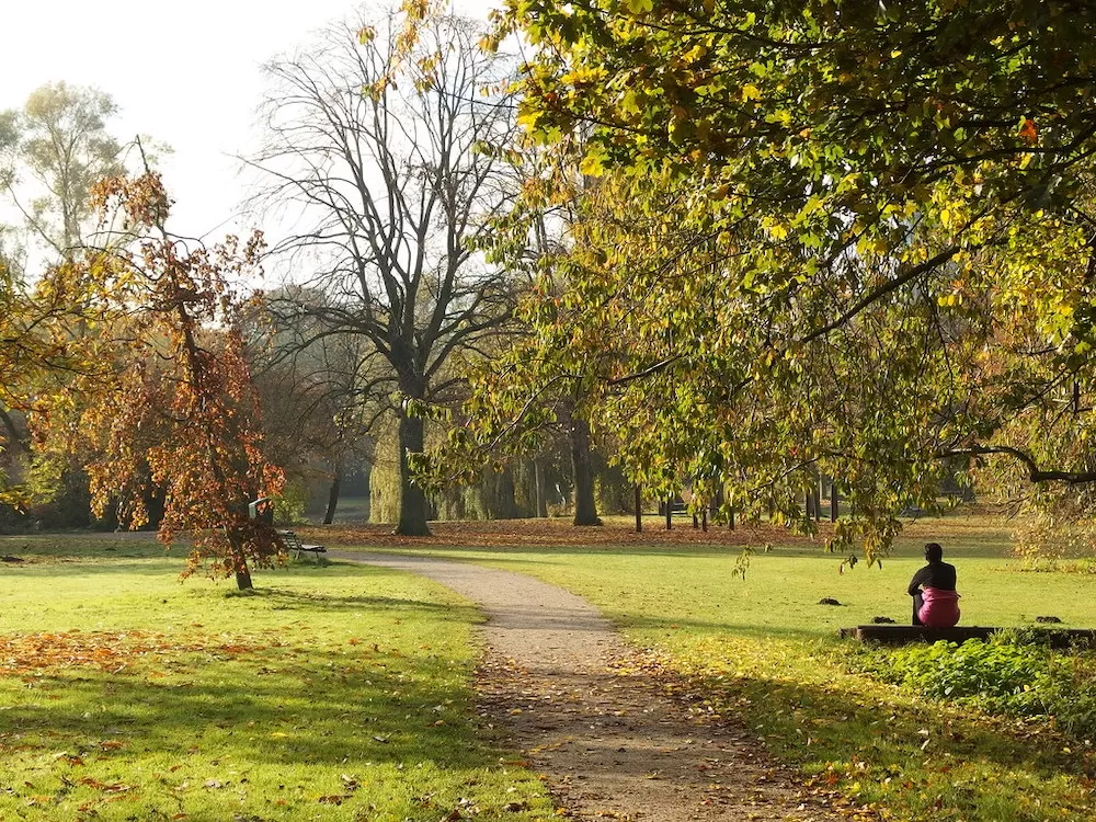 Where Can You Have a Picnic in Amsterdam?