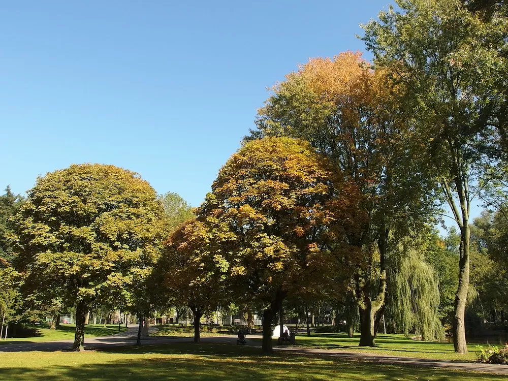 Where Can You Have a Picnic in Amsterdam?
