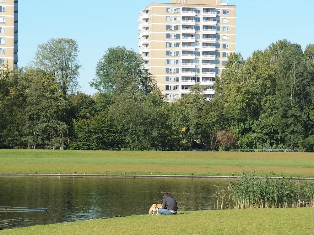 Where Can You Have a Picnic in Amsterdam?