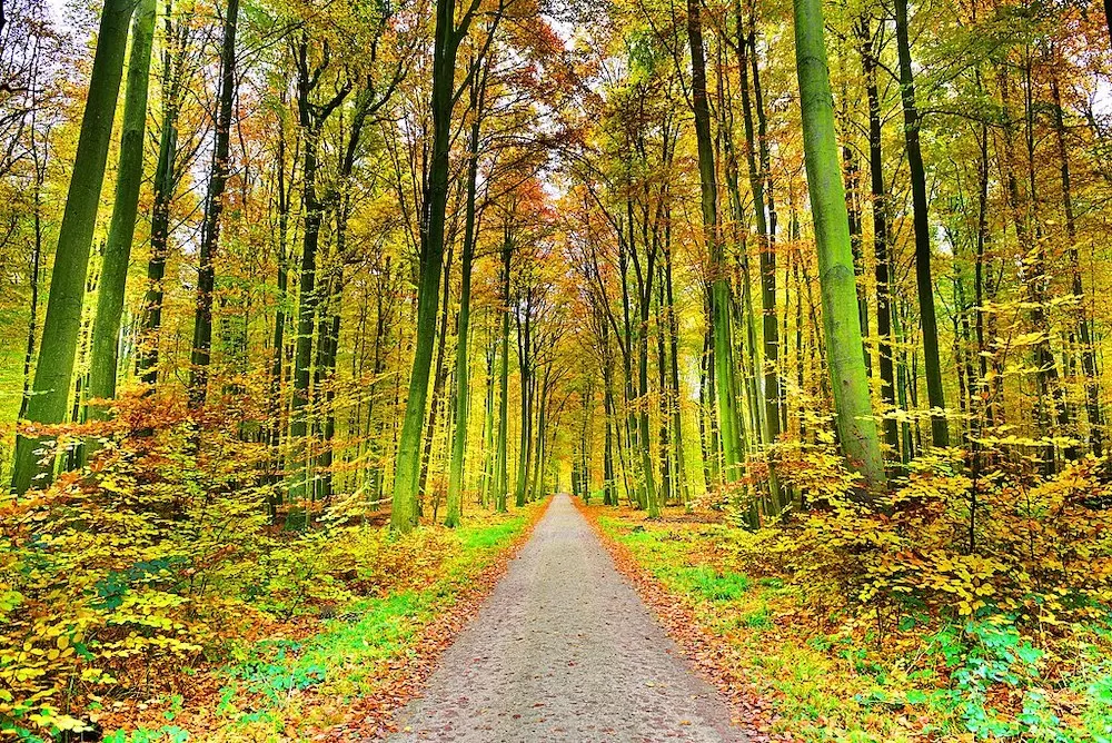 7 Spots to Have a Picnic in Brussels