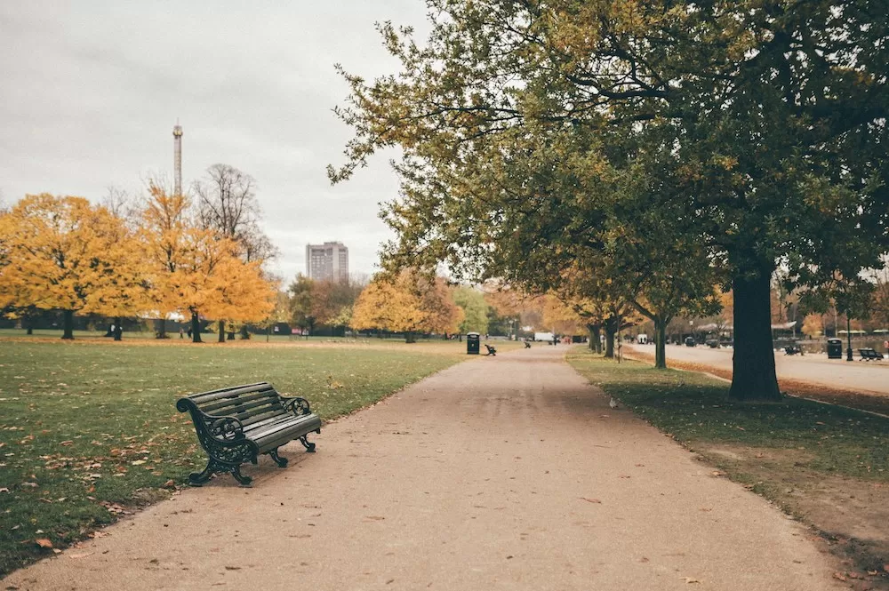 The 10 Best Spots for a Picnic in London