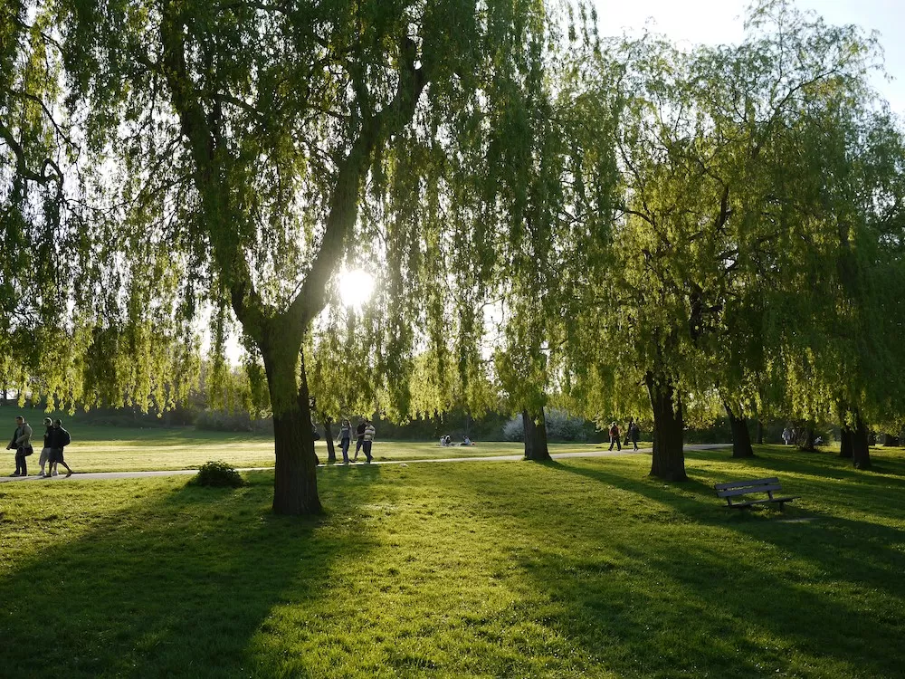 The 10 Best Spots for a Picnic in London