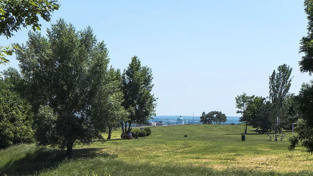 8 Great Spots for Your Picnic in Vienna