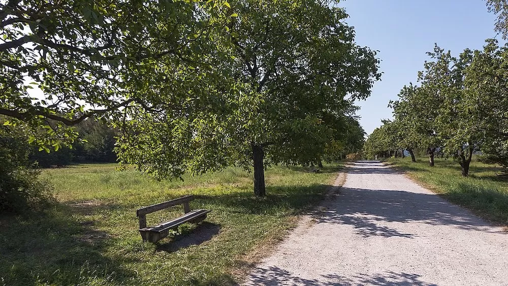 8 Great Spots for Your Picnic in Vienna