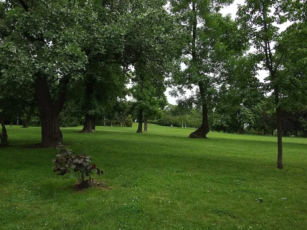 Where Should You Have Your Picnic in Prague?