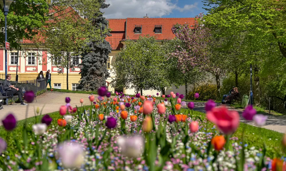 Where Should You Have Your Picnic in Prague?