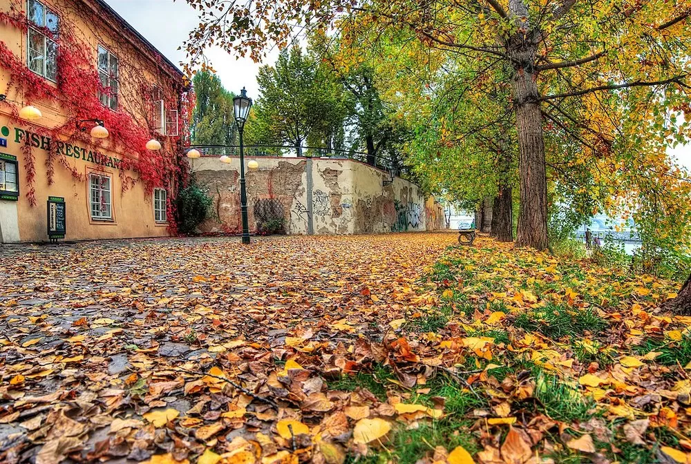 Where Should You Have Your Picnic in Prague?