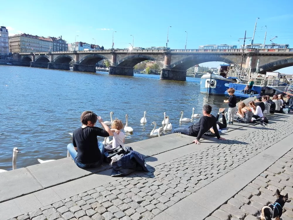 Where Should You Have Your Picnic in Prague?
