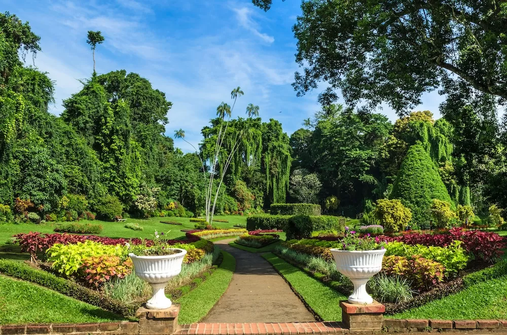 Have Your Picnic in Athens in These 7 Spots
