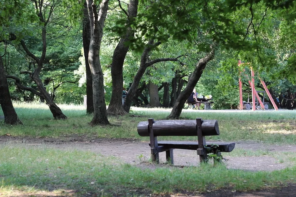 Where Can You Have Your Picnic in Budapest?