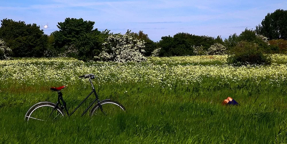 The Best Spots to Have a Picnic in Copenhagen