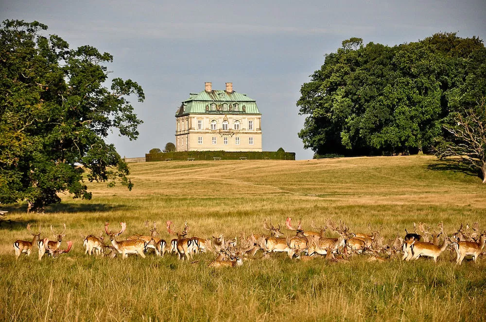 The Best Spots to Have a Picnic in Copenhagen
