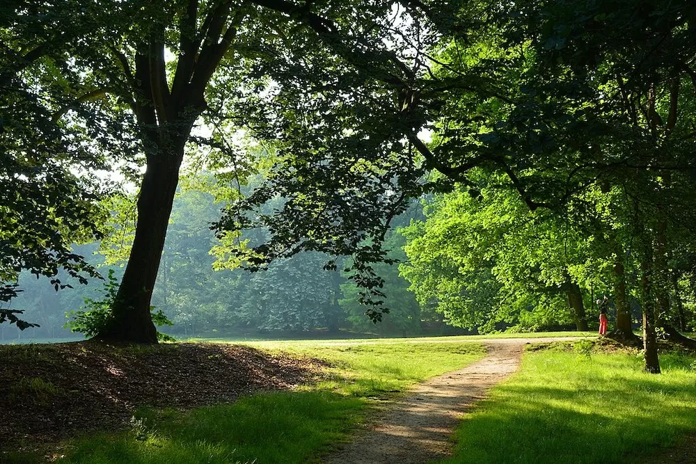 Where You Can Enjoy Your Picnic in Antwerp