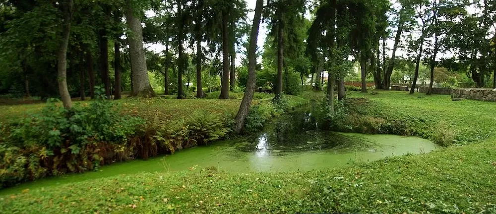 Where to Have a Picnic in Tallinn