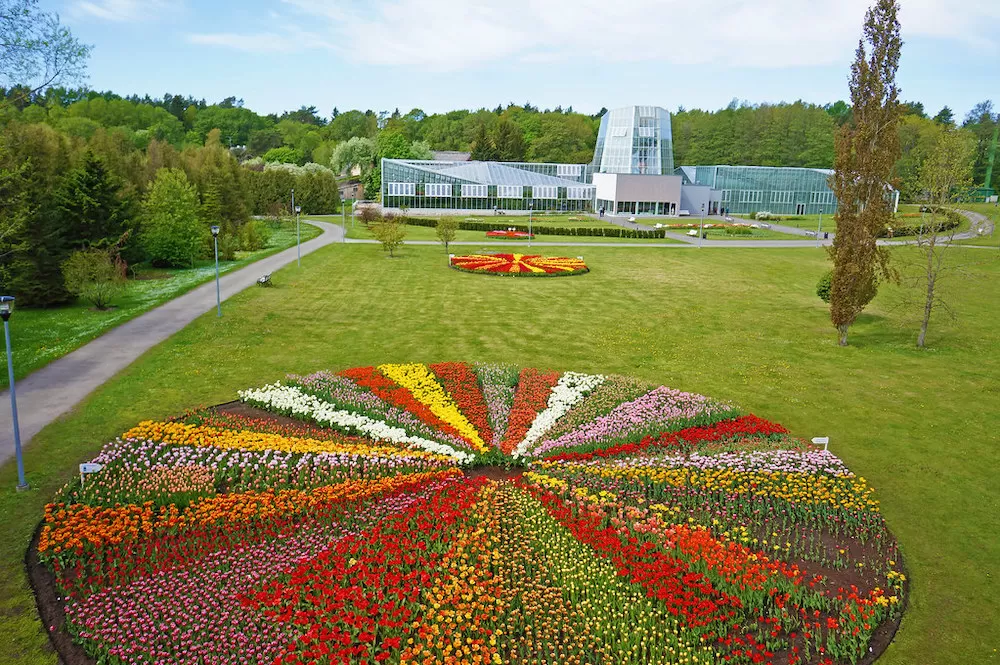 Where to Have a Picnic in Tallinn
