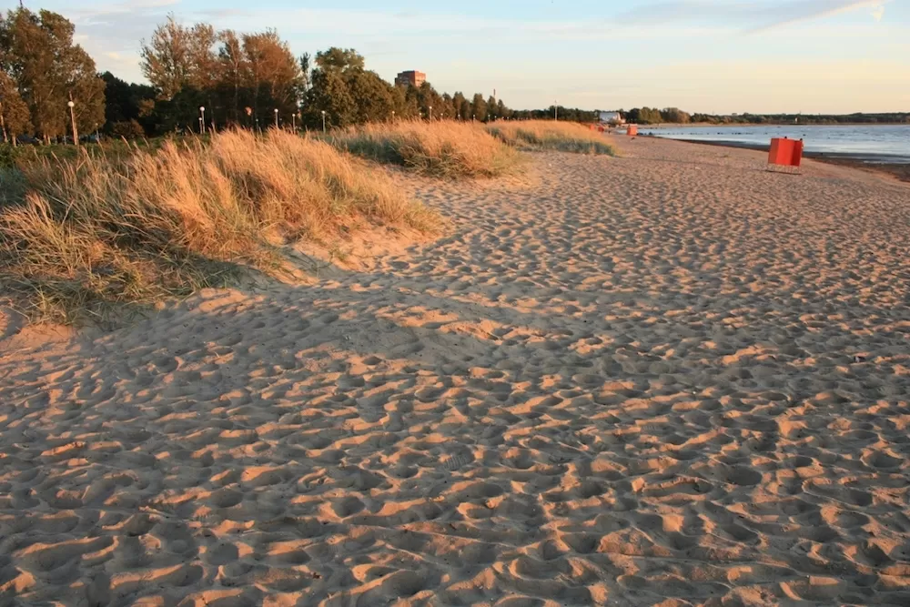 Where to Have a Picnic in Tallinn