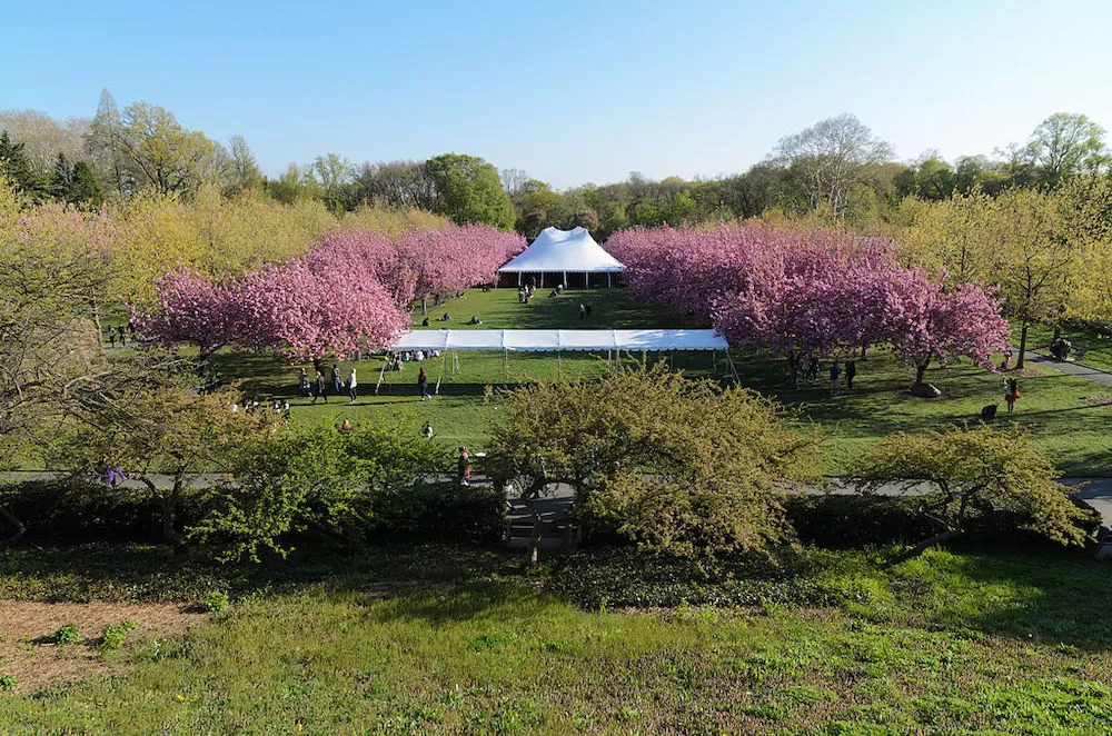 10 Best Spots to Spend Spring in New York City
