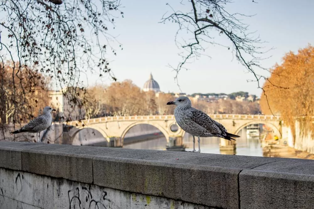 Discover Monte Sacro in Rome