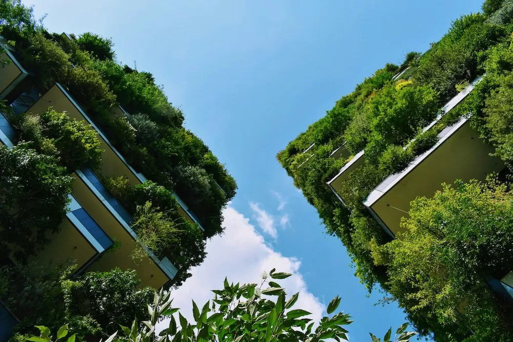 What to Know About Isola in Milan