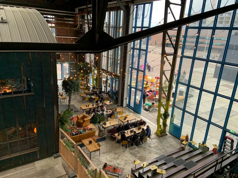 What to Know About Noord in Amsterdam
