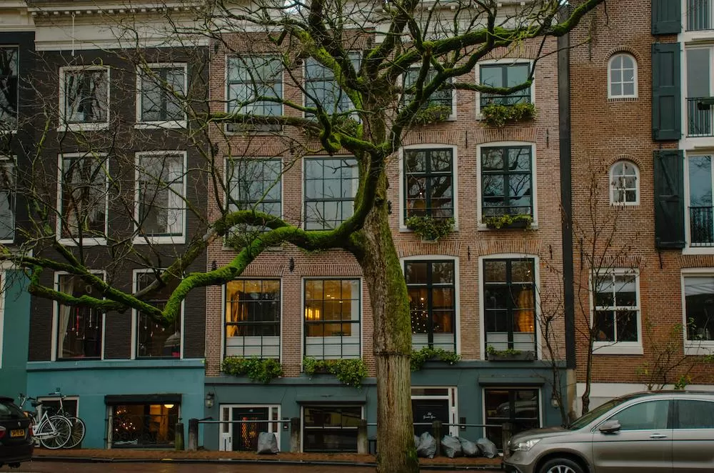 Discover Oud West in Amsterdam