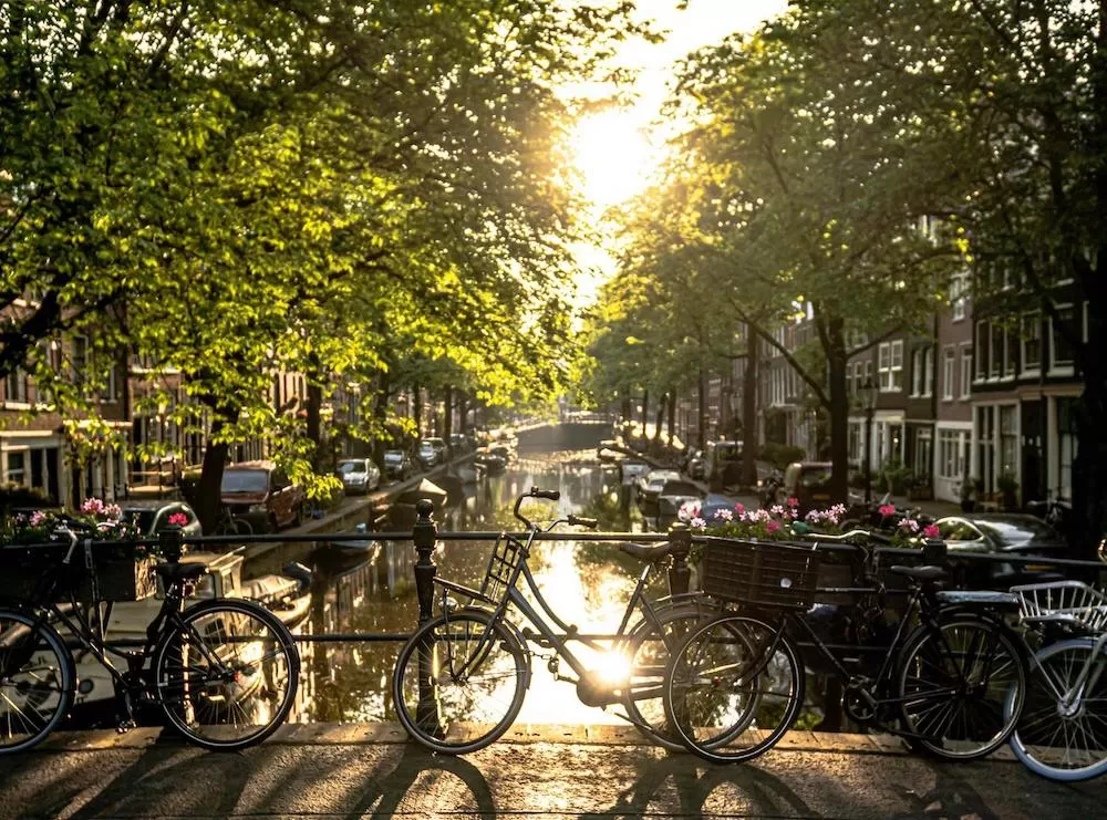 What to Learn About Oud-Zuid in Amsterdam