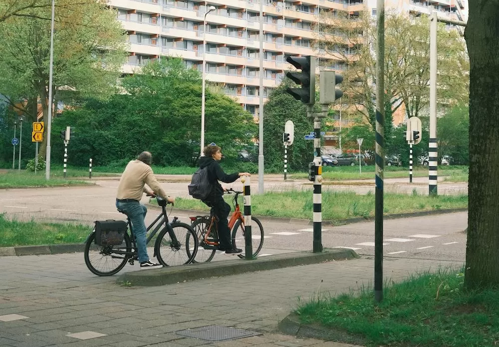 What to Know About Westerpark in Amsterdam