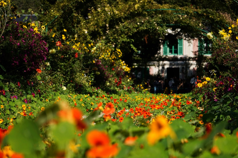 Why You Should Spend Autumn in Paris