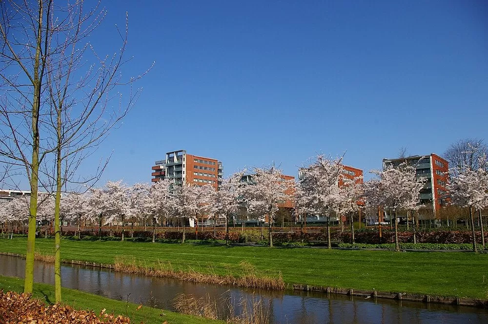 Discover Amsterdam’s 10 Best Suburbs