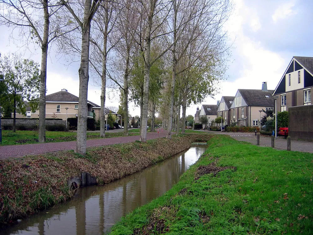 Discover Amsterdam’s 10 Best Suburbs