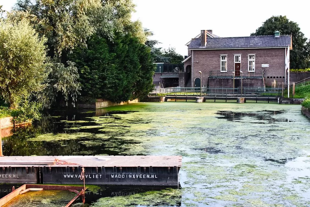 Discover Amsterdam’s 10 Best Suburbs