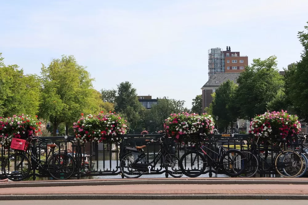 The 10 Safest Neighborhoods in Amsterdam