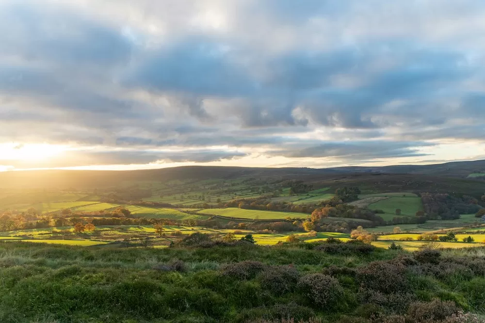 Why You Should Consider Moving to Leeds