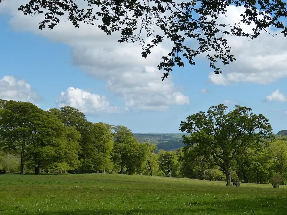 Take Your Date to These Most Romantic Spots in Leeds