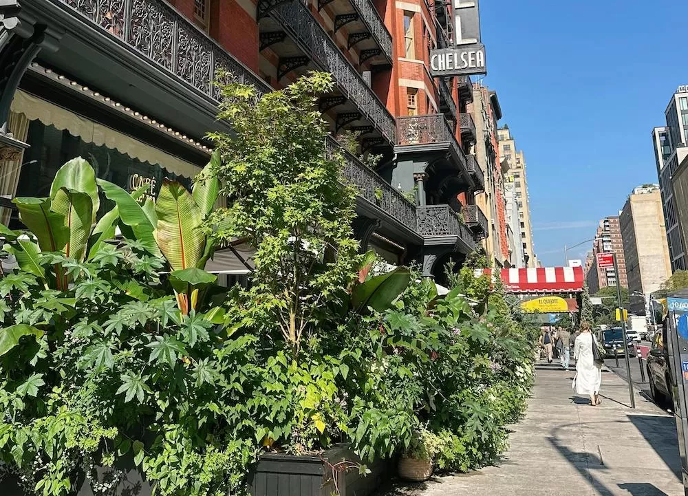 Get to Know Chelsea in New York City
