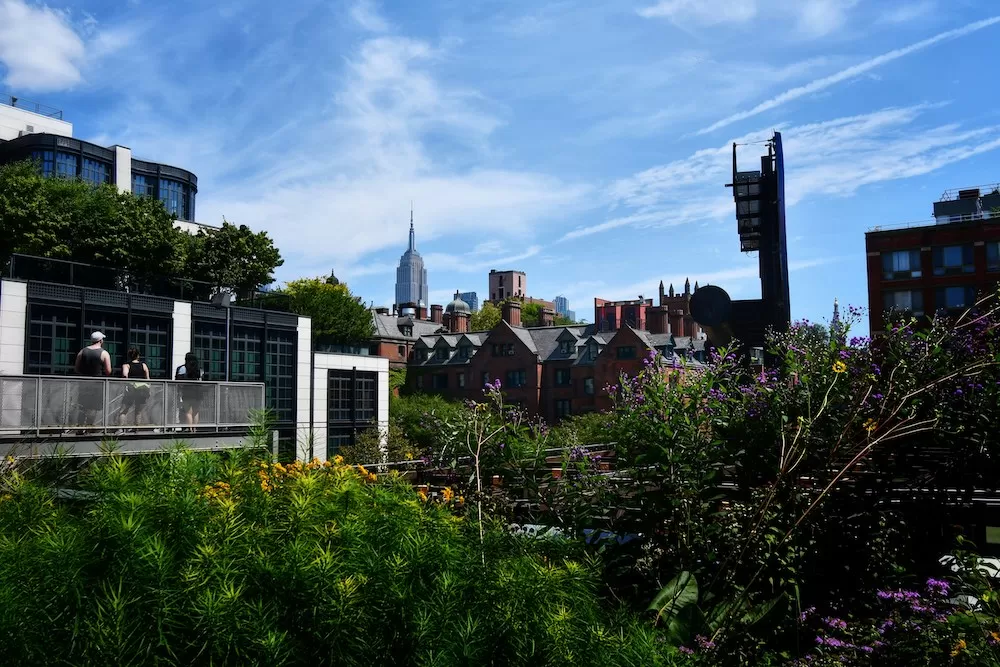 Get to Know Chelsea in New York City