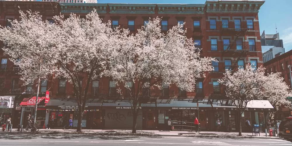 Introducing Alphabet City in New York City