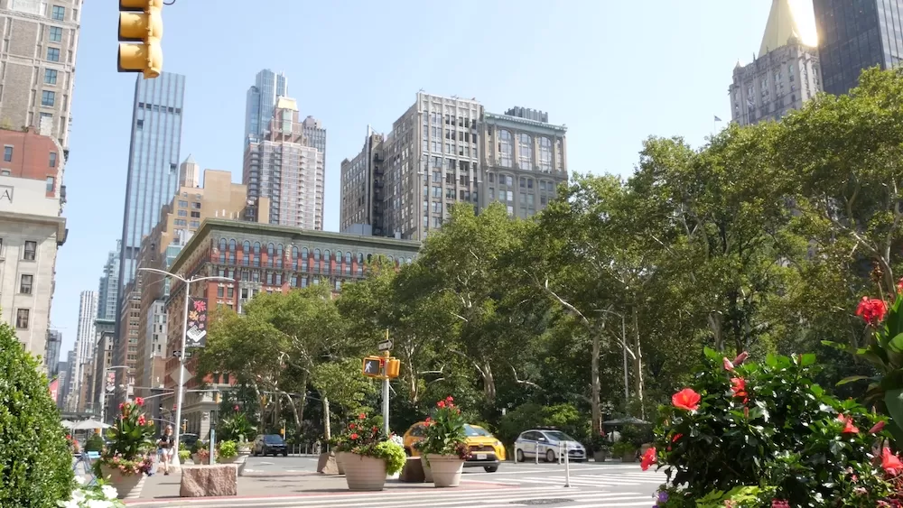 Discover Rose Hill in New York City